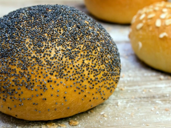 Witte bollen hard met zaad